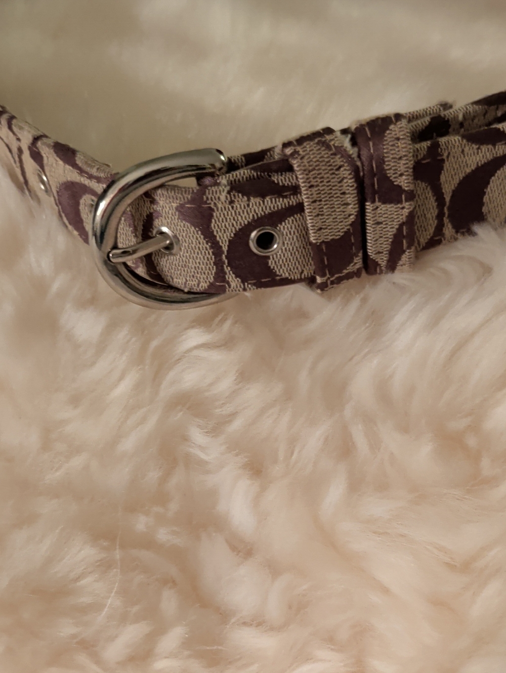 Coach Signature Canvas Belt in Beige and Brown with Silver Buckle
